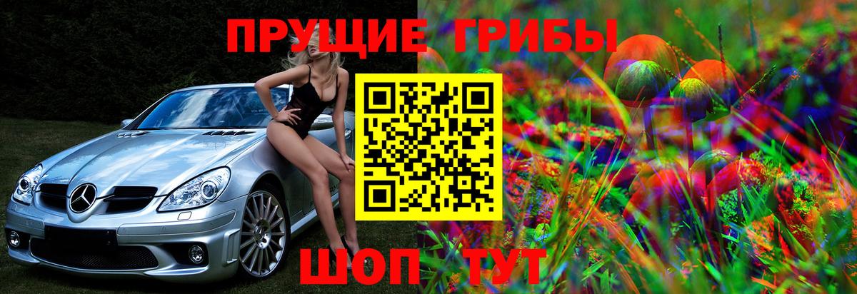 Кыштым  Галлюциногенные грибы Magic Shrooms  Вход с VPN  Галлюциногенные грибы мухоморы 